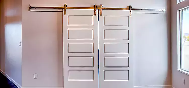Glass Barn Door with Installation Hardware Kit Southaven